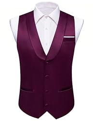 Barry.Wang Mens Dark Purple Vest Formal/Leisure