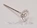 Crystal Clear Diamond Pixie Corsage / Boutonniere Pins 3/4