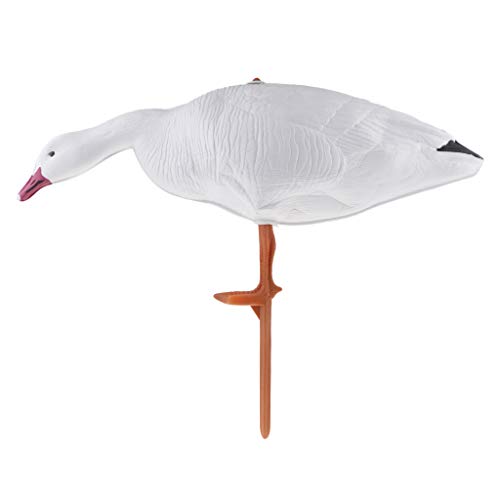 B Blesiya Hunting Shooting White Goose Decoys Decoying 3 Type -Resting,Standing,Eating - Eating Goose