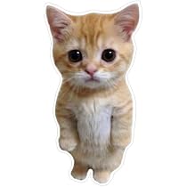 Amazon.com - Standing 3D Cat Decal Stickers for Car Window Bumper ...