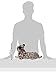 Wild Republic Snow Leopard Plush, Stuffed Animal, Plush Toy, Kids Gifts, Zoo Toy, 18