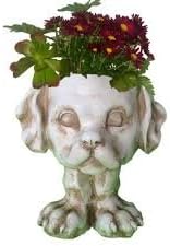 Muttley The Mongrel Planter Holds 3" Pot