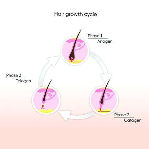 Sensilight Permanent Hair Removal Device for Men. A Home Machine, Using IPL Technology. Great Body and Facial Hair Remover. Can Be Used On The Leg, Back, Chest & Upper Lip (Mini 100,000)