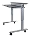 Crank Stand Up Desk (48
