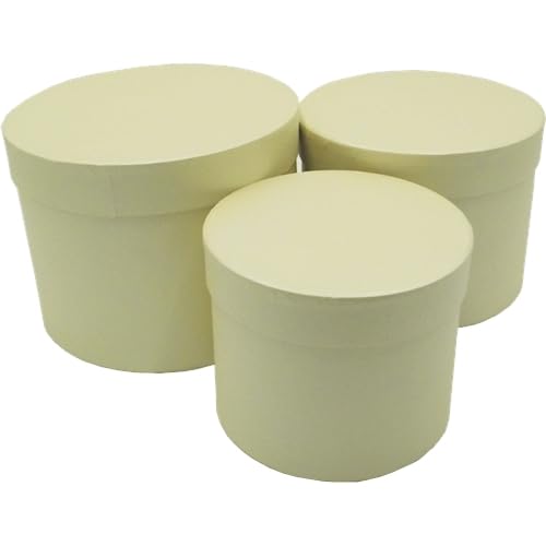 INERRA Flower Hat Boxes Florist Box Vase - Set of 3 (Cream/Ivory)