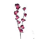 Creative Motion Battery-Operated 10-Light LED Orchid Light