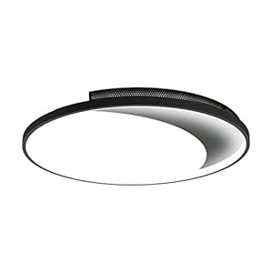 WDX- Plafondlamp 40/50 / 60cm slaapkamer lamp Moderne minimalistische plafondlamp geleid creatief restaurant woonkamer…