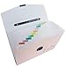 Snail&Hawk Poly Accordion Expanding-File-Folder with Handle and Tabs,A4 Size,13-Pockets,Pink