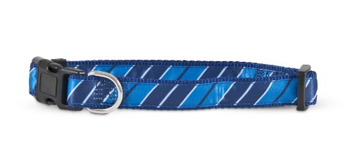 Aspen Pet 11457 Collar for Pets, 1 by 16 to 26-Inch, Stripe Blue