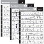 NewMe Fitness Dumbbell Workout Exercise Poster - Now Laminated - Strength Training Chart - Build Muscle, Tone & Tighten - Home Gym Weight Lifting Routine - Body Building Guide