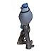 Hi-Line Gift Ltd Blue Jay on Branch Statue