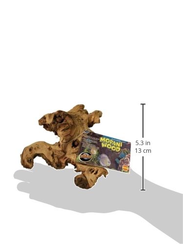 Zoo Med Laboratories AZMMAS Mopani Wood, Small, 6 to 8-Inch