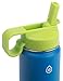 Thermoflask Kids Double Wall Vacuum Insulated Stainless Steel (Green/Blue)