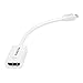 VicTsing Mini DisplayPort DP Thunderbolt to HDMI HD TV AV Cable Lead Adapter for Apple Macbook Air, MacBook, Macbook pro, mac mini, iMac-White