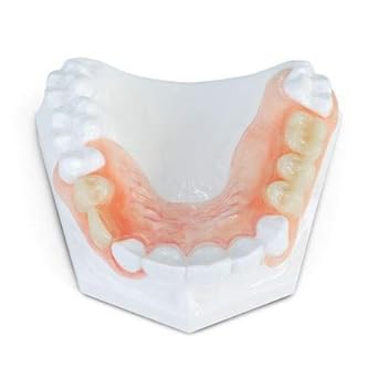 Plate Dentures Teeth  : Partial Dentures (Upper Or Lower).