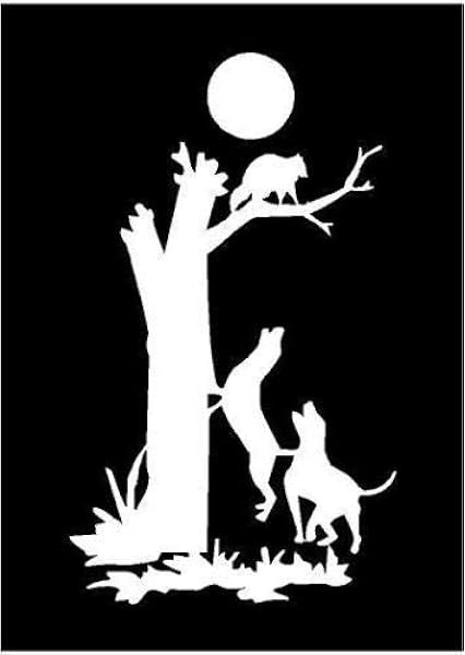 treeing a coon