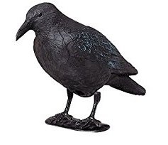 CROW BIRD SCARER - INTERHOME©