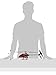 ICS CIS CIS-071C Flybarless Helicopter, Medium/21, Red