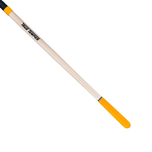 The Ames Companies, Inc 2585700 True Temper Square Point Transfer Shovel