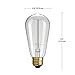 Globe Electric 31321 Vintage Designer Light Bulb, 3 Count (Pack of 1), Cool White