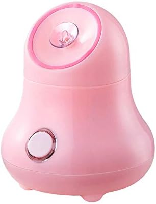 FMEZY Hot Facial Steamer Fruits & Vegetable &Petals Humidifier Moisturizing Unclogspores Mist Nano Water Sprayer for Spa Salon Skin Sauna Care Tools