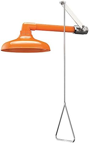 WaterSaver Faucet - LWF643 - Emergency Shower, Wall Mount, Plastic, 10 Head Dia.
