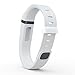 Fitbit Flex Band, Replacement Bands for the Fitbit Flex with Extra Security Clasp, White, Small, by Teak