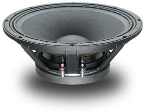 15 inch speaker 1000 watt