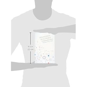 Organization Development Fundamentals: Managing Strategic Change