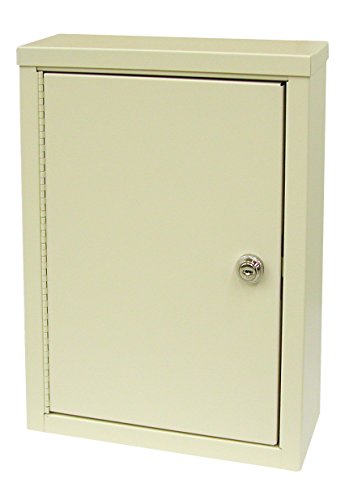 Double Door Small Economy Narcotic Cabinet (15"H X 11"W X 4"D)