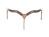 Silver Royal Pistol Annie Shooter Breastcollar