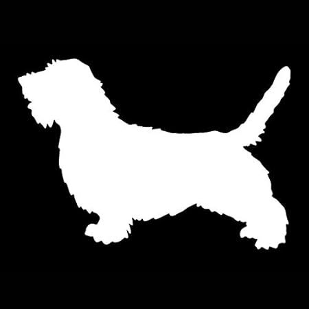 Haotong11 178 127 Cm Petit Basset Griffon Vendéen Chien