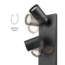 Globe Electric 51845 2-Light Plug-in or Hardwire