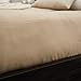 Trupedic Futon Mattress for Floor or Frame - Plush Foldable Sofa Bed for Adults & Kids - Portable Convertible Foam Futon for Dorm Room, Camping, Office - Frame Not Included (10” Thickness, Queen Size)