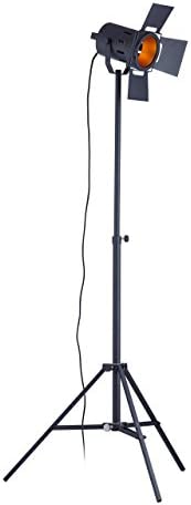 Euro Style Collection ESCFL-BELGRADE-BLK Belgrade High Spot Floor Lamp