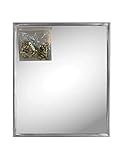 Andalus Wall Mirror with Silver Frame (1 Pack) | 10 x 12 Inches | Includes Picture Hanging Kit