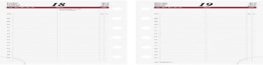 rido/idé Timing 3 2024 Daily Calendar 1 Page = 1 Day Sheet Size 7.6 x 12.7 cm White
