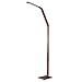 Finether LED Floor Lamp Dimmable and Color Adjustable 3000K - 6000K, 8W Touch Standing Light for Reading Living Room Bedroom Office,Bronze