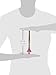JW Pet Company Insight Wood Perch Bird Accessory, Small