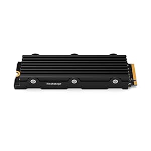 Nextorage NEM-PA 1TB M.2 ヒートシンク 一体型 2280 PCIe 4.0 NVMe SSD NEM-PA1TB/E J ネクストレージ