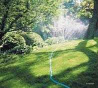 A.M. Andrews Asc Coupling