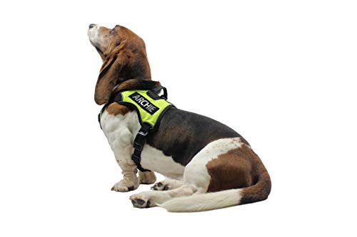 Dogline CUSTOM Removable Patches with 3M Refelctive Lettering for Harness, Vest or Collar - Service Dog, In Training, Therapy Dog, Do Not Pet, PTSD or Personalized