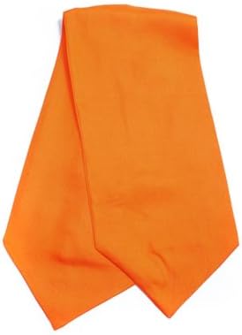 TheDapperTie Orange Color Solid Ascot SPA3701
