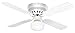 Litex CC42WW4L Celeste Collection 42-Inch Ceiling Fan with Five Reversible White/Whitewash Blades and Single Light kit with White Opal Glass