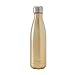 S'well Stainless Steel Water Bottle - 17 Fl Oz - Sparkling Champagne - Triple-Layered Vacuum-Insulated Containers Keeps Drinks Cold for 36 Hours and Hot for 18 - BPA-Free - Perfect for the Go
