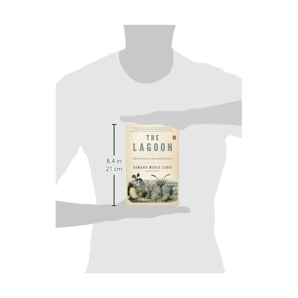 The Lagoon: How Aristotle Invented Science - Image 3