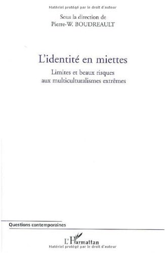 L' identité en miettes
