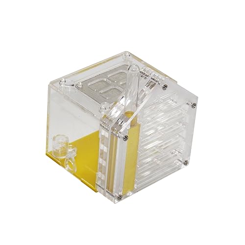 HEMOTON Kit for Boys and Girls Ant Acrylic Ant Breeding Box Lid Feeding and Storage Box
