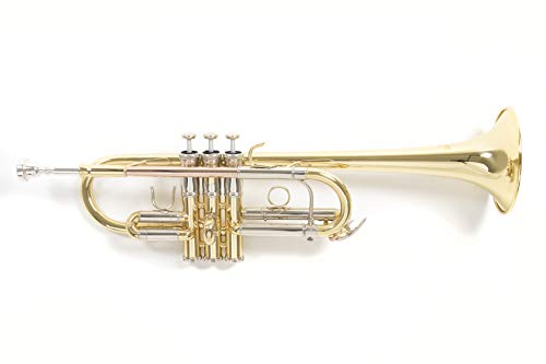 Roy Benson C-Trompete MOD.TR-402C + 1 Satz Bb Zuege lackiert, inkl. Etui