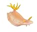 Safari Ltd. Nudibranch - Realistic Hand Painted Toy Figurine Model - Quality Construction from Phthalate, Lead and BPA Free Materials - For Ages 3 and Up